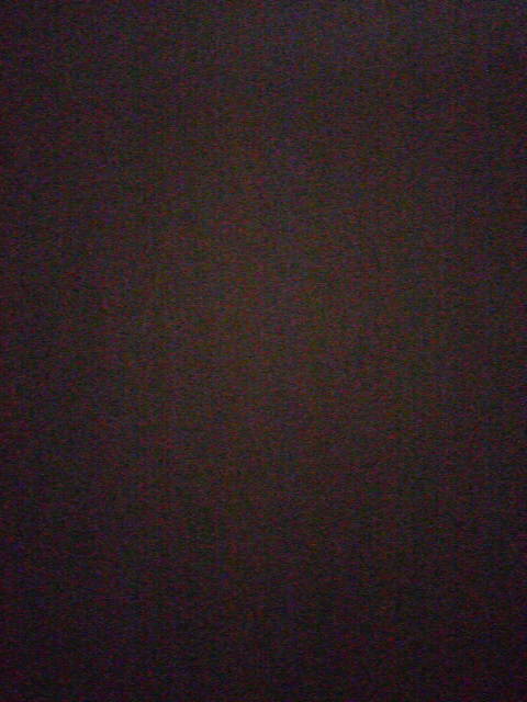 「まとめ」に載せた写真 1枚目