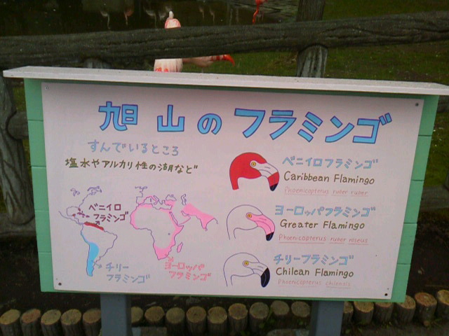 「詳しくは」に載せた写真 1枚目
