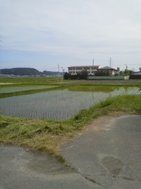 「早くね」に載せた写真 1枚目