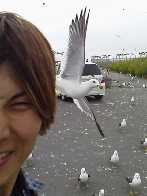 「完全に」に載せた写真 1枚目