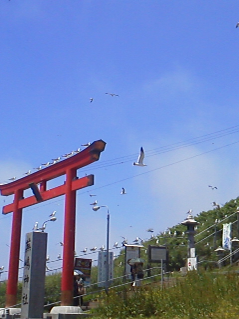 「せっかくだし」に載せた写真 1枚目
