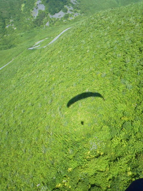 「影」に載せた写真 1枚目