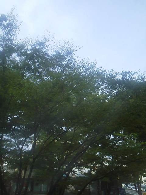 旅打ち 日本縦断 2013-07-30「まとめ」の日の写真