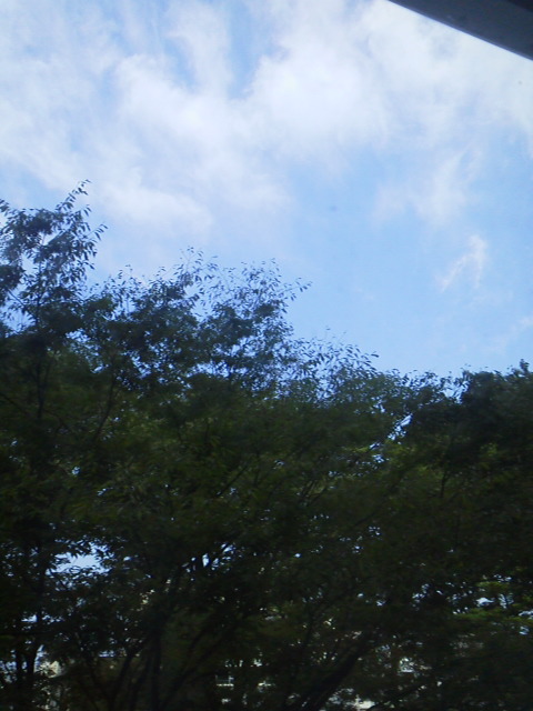 旅打ち 日本縦断 2013-08-07「まとめ」の日の写真