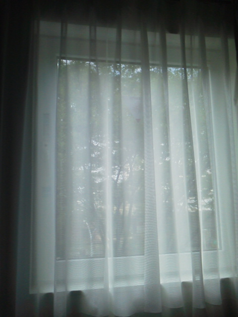 「ゾロ目」に載せた写真 1枚目
