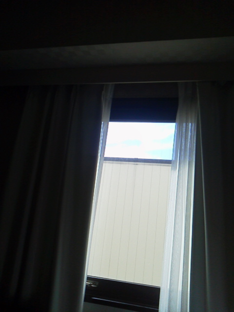 「今日も」に載せた写真 1枚目