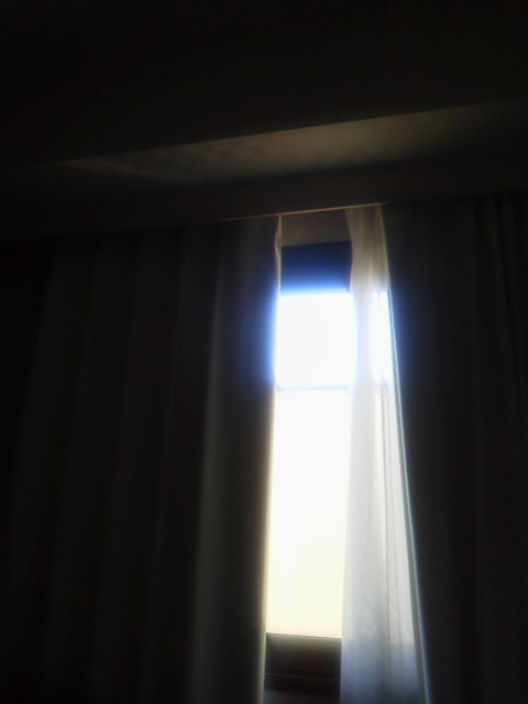「今日は平日」に載せた写真 1枚目