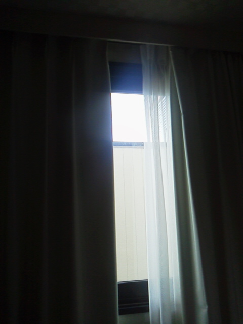 「原稿開始」に載せた写真 1枚目