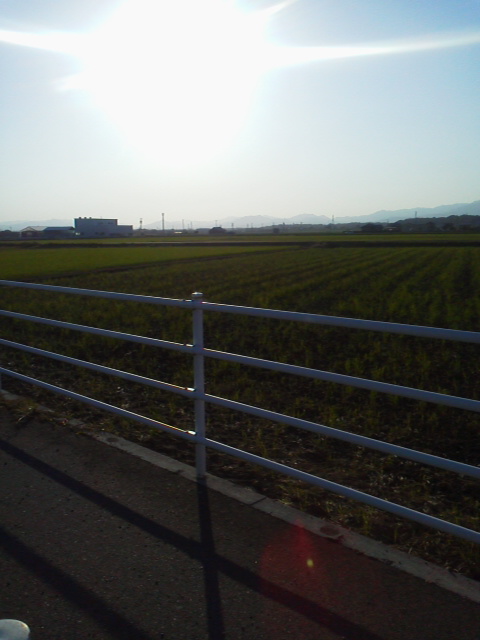 「実家もこんな感じ」に載せた写真 1枚目