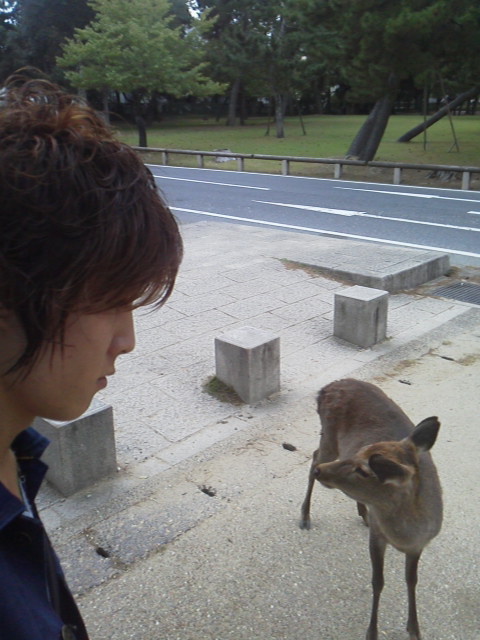 「観光 奈良公園」に載せた写真 1枚目