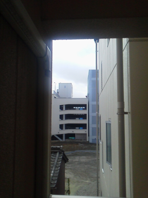 「晴れました」に載せた写真 1枚目