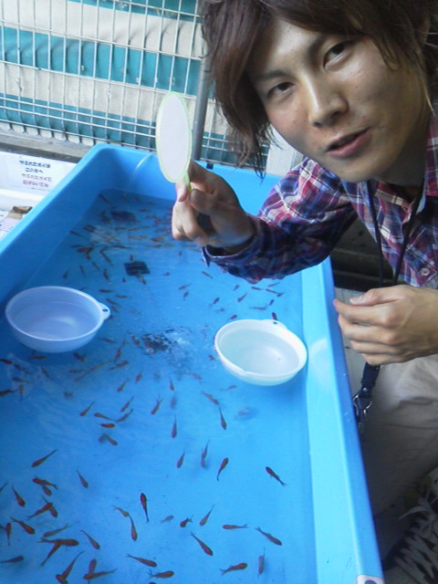 「金魚すくいだ!」に載せた写真 1枚目