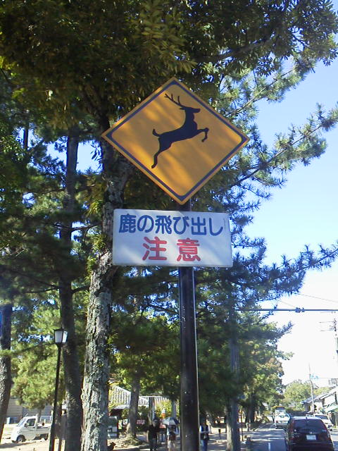 「飛び出し」に載せた写真 1枚目