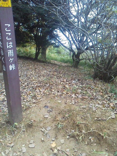 「雨ヶ峠」に載せた写真 1枚目