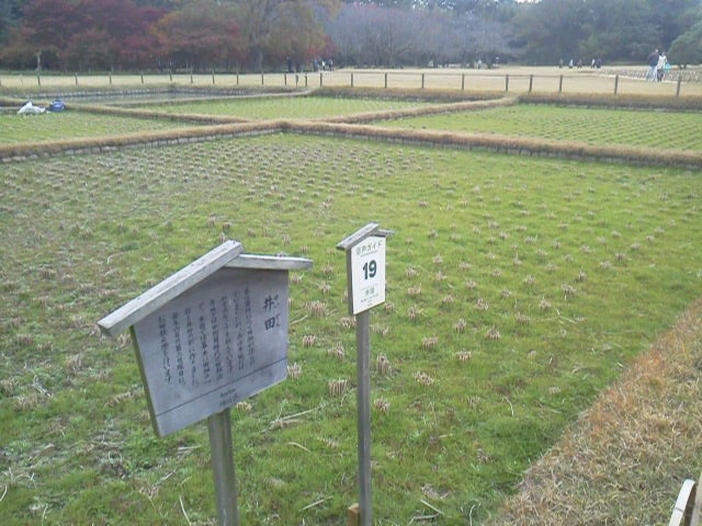 「田んぼあるよ」に載せた写真 1枚目