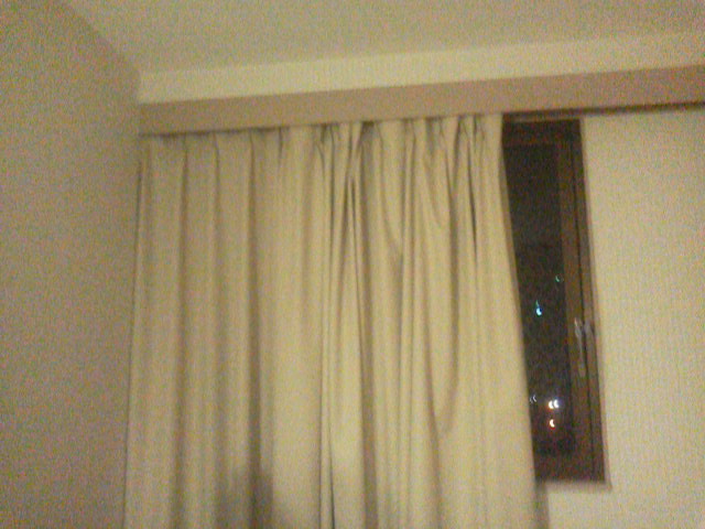 「まとめ」に載せた写真 1枚目