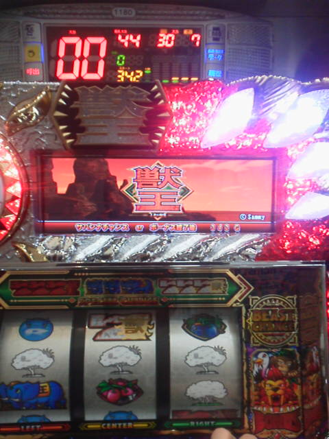 「久しぶりというか2回目」に載せた写真 1枚目