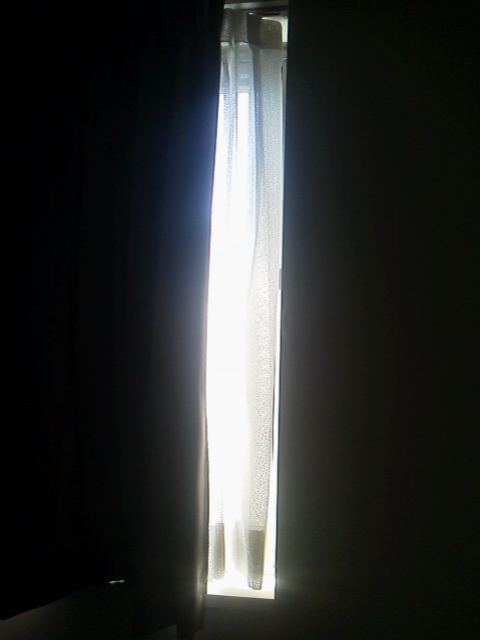 「昨日の生活費」に載せた写真 1枚目
