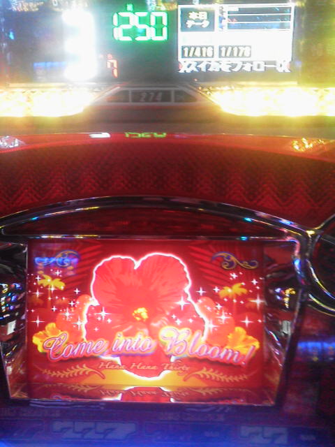 「頑張ります」に載せた写真 1枚目