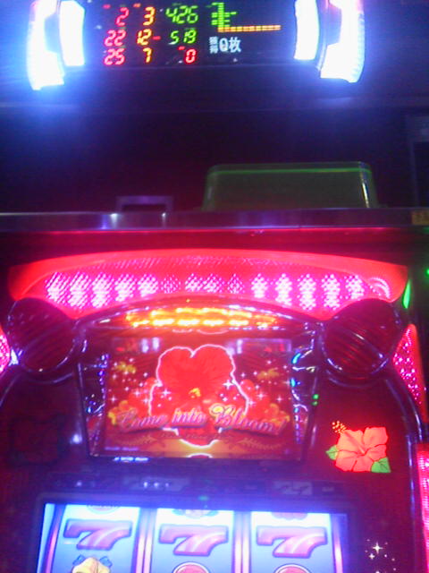 「950Gかかりました」に載せた写真 1枚目