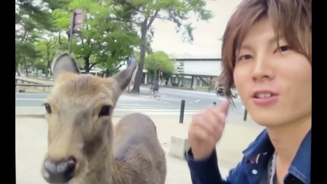 奈良公園で鹿と並ぶ本人(動画「【夏目五郎】第12話 奈良県の章 決死のパチスロサバ」より)